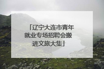 辽宁大连市青年就业专场招聘会搬进文旅大集
