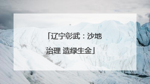 辽宁彰武：沙地治理 造绿生金