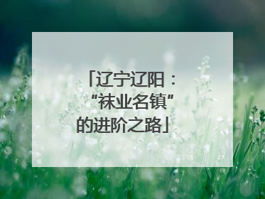 辽宁辽阳：“袜业名镇”的进阶之路