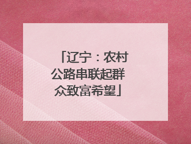 辽宁：农村公路串联起群众致富希望
