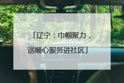 辽宁：巾帼聚力，送暖心服务进社区