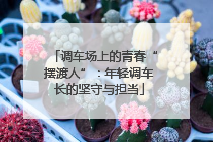 调车场上的青春“摆渡人”：年轻调车长的坚守与担当