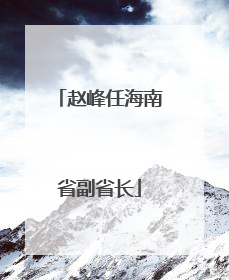赵峰任海南省副省长