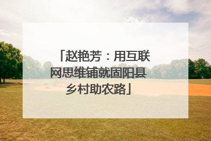 赵艳芳：用互联网思维铺就固阳县乡村助农路