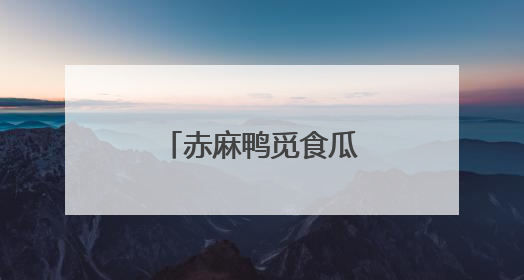 赤麻鸭觅食瓜州双塔湿地