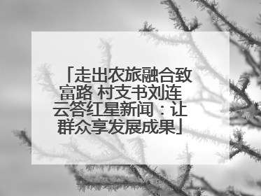 走出农旅融合致富路 村支书刘连云答红星新闻：让群众享发展成果