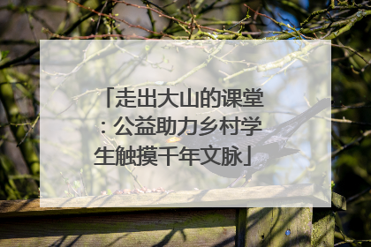 走出大山的课堂：公益助力乡村学生触摸千年文脉