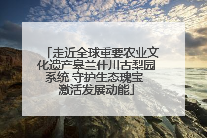 走近全球重要农业文化遗产皋兰什川古梨园系统 守护生态瑰宝 激活发展动能