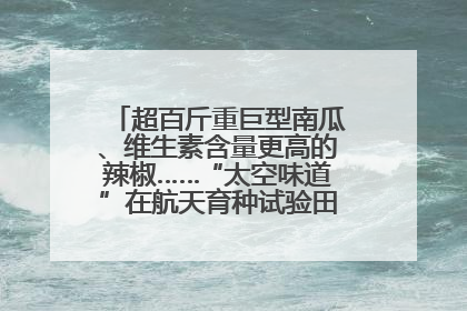 超百斤重巨型南瓜、维生素含量更高的辣椒……“太空味道”在航天育种试验田里拔节生长