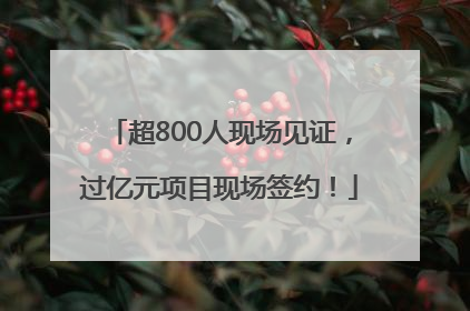 超800人现场见证，过亿元项目现场签约！