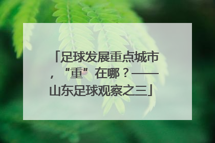 足球发展重点城市，“重”在哪？——山东足球观察之三