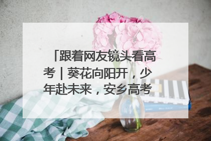 跟着网友镜头看高考｜葵花向阳开，少年赴未来，安乡高考首日的希望图景