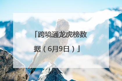 跨境通龙虎榜数据（6月9日）