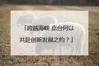 跨越海峡 嘉台何以共赴创新发展之约？