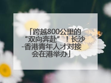 跨越800公里的“双向奔赴”！长沙-香港青年人才对接会在港举办