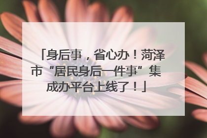 身后事，省心办！菏泽市“居民身后一件事”集成办平台上线了！