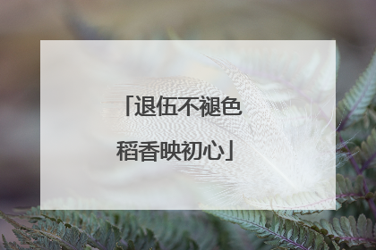 退伍不褪色 稻香映初心