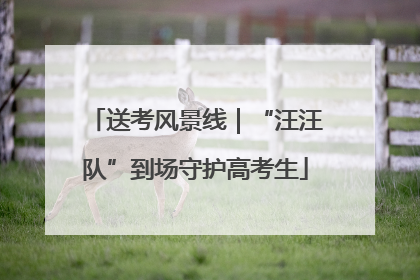 送考风景线｜“汪汪队”到场守护高考生