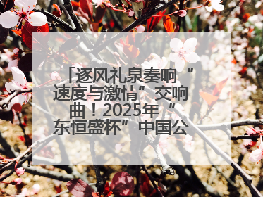 逐风礼泉奏响“速度与激情”交响曲！2025年“东恒盛杯”中国公路自行车联赛第五站（陕西·礼泉站）正式开赛