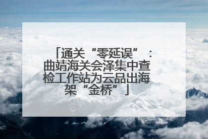 通关“零延误”：曲靖海关会泽集中查检工作站为云品出海架“金桥”