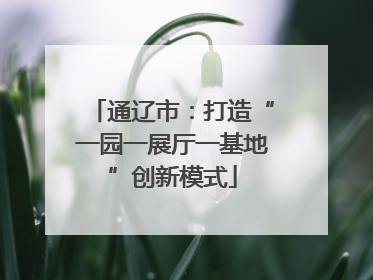 通辽市：打造“一园一展厅一基地”创新模式
