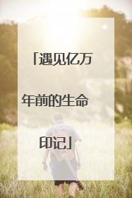 遇见亿万年前的生命印记