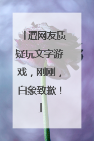 遭网友质疑玩文字游戏，刚刚，白象致歉！