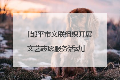 邹平市文联组织开展文艺志愿服务活动