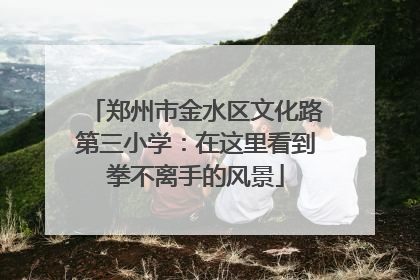 郑州市金水区文化路第三小学：在这里看到拳不离手的风景