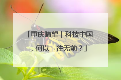 重庆瞭望｜科技中国，何以一往无前？