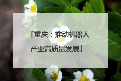 重庆：推动机器人产业高质量发展