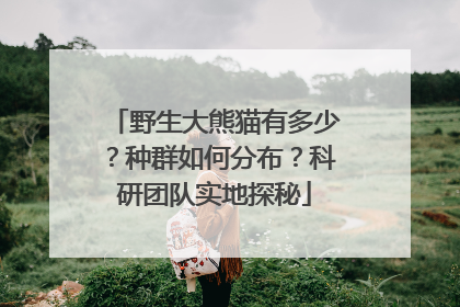 野生大熊猫有多少？种群如何分布？科研团队实地探秘