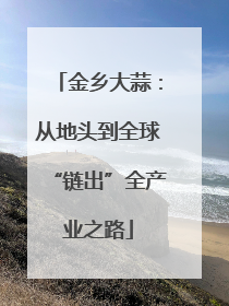 金乡大蒜：从地头到全球“链出”全产业之路
