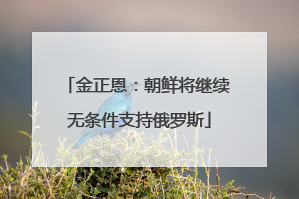 金正恩：朝鲜将继续无条件支持俄罗斯
