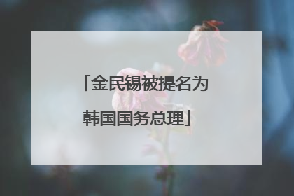 金民锡被提名为韩国国务总理