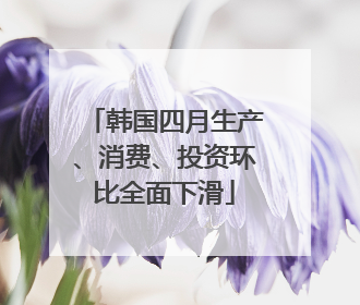 韩国四月生产、消费、投资环比全面下滑