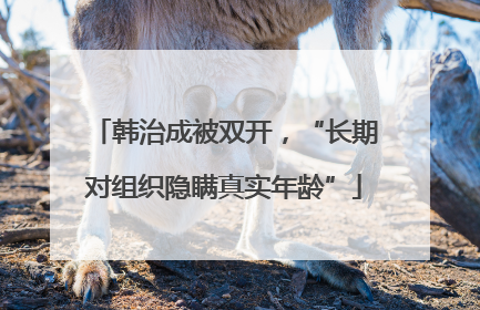 韩治成被双开，“长期对组织隐瞒真实年龄”