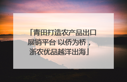 青田打造农产品出口展销平台 以侨为桥，浙农优品越洋出海