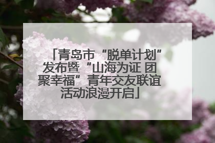 青岛市“脱单计划”发布暨“山海为证 团聚幸福”青年交友联谊活动浪漫开启
