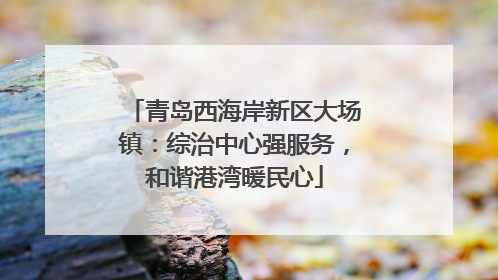 青岛西海岸新区大场镇：综治中心强服务，和谐港湾暖民心
