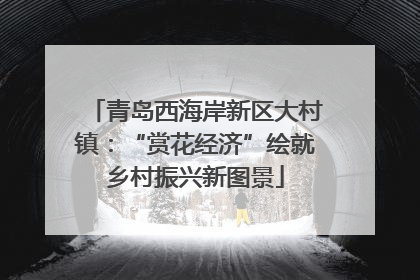 青岛西海岸新区大村镇：“赏花经济”绘就乡村振兴新图景
