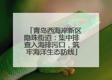 青岛西海岸新区隐珠街道：集中排查入海排污口，筑牢海洋生态防线