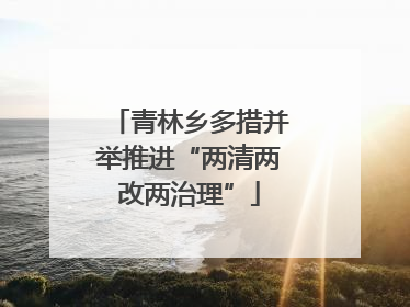 青林乡多措并举推进“两清两改两治理”