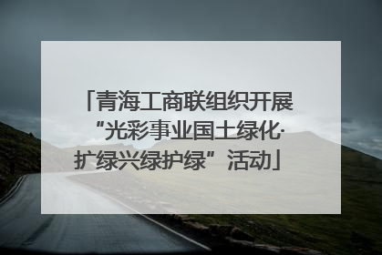 青海工商联组织开展“光彩事业国土绿化·扩绿兴绿护绿”活动
