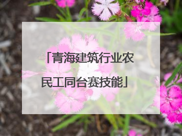 青海建筑行业农民工同台赛技能