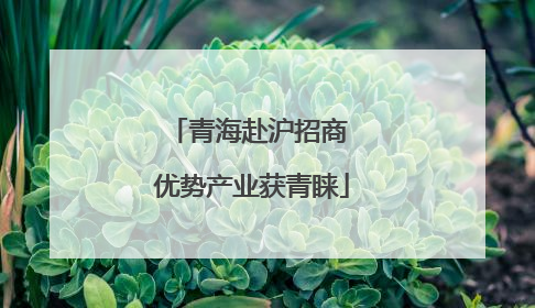 青海赴沪招商 优势产业获青睐