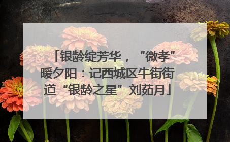 银龄绽芳华，“微孝”暖夕阳：记西城区牛街街道“银龄之星”刘茹月