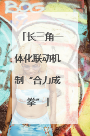 长三角一体化联动机制“合力成拳”