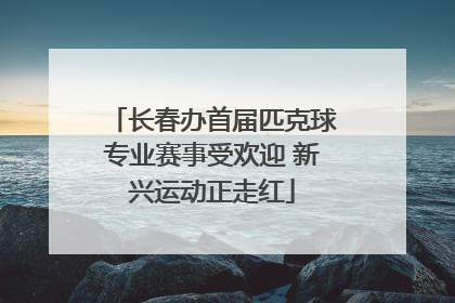 长春办首届匹克球专业赛事受欢迎 新兴运动正走红
