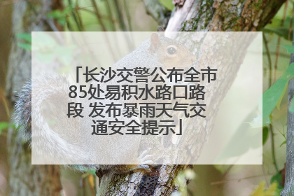 长沙交警公布全市85处易积水路口路段 发布暴雨天气交通安全提示
